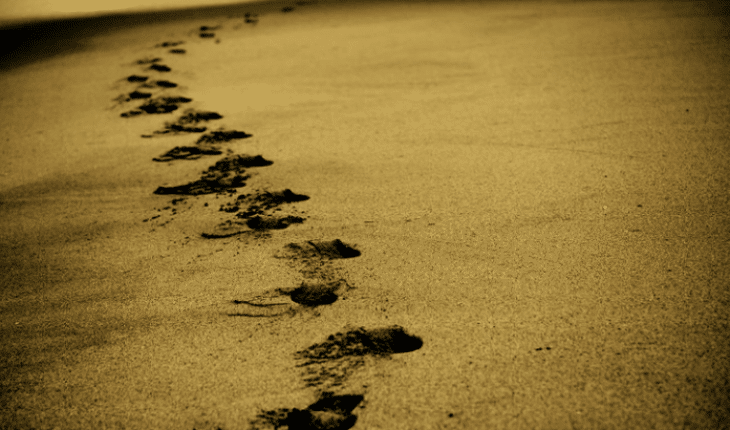 zand | GFC