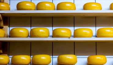 kaas | GFC Nieuws