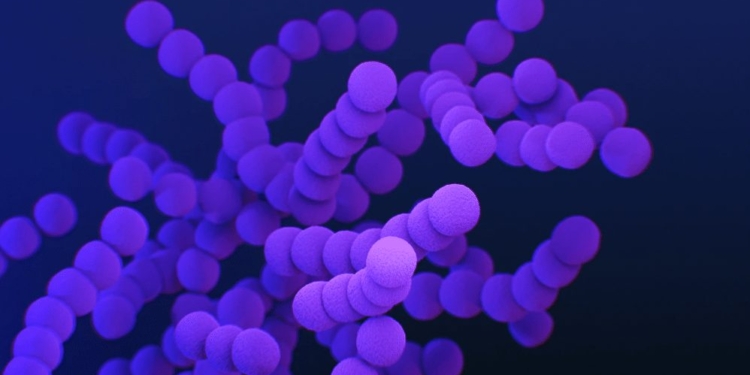 bacterien