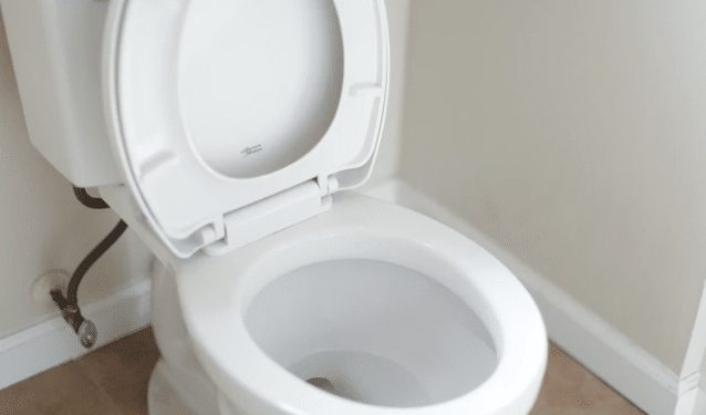 toilet