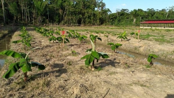 aanplant e1612104108567
