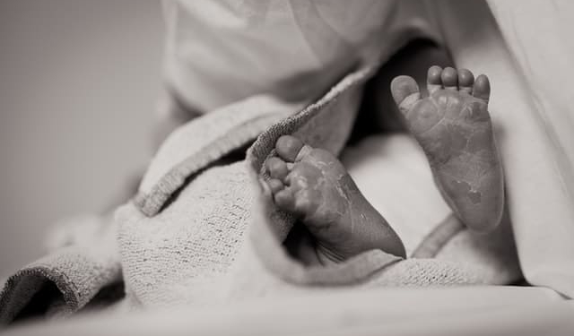 janko ferlic T5Q78o0xTdw unsplash