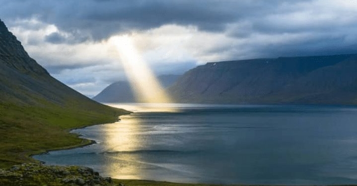 natuur