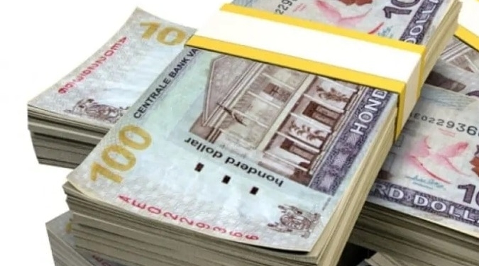 srd surinaamse dollar
