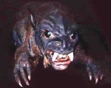 vampier