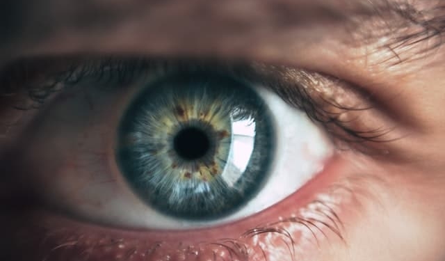 victor freitas B0zAPSrEcFw unsplash