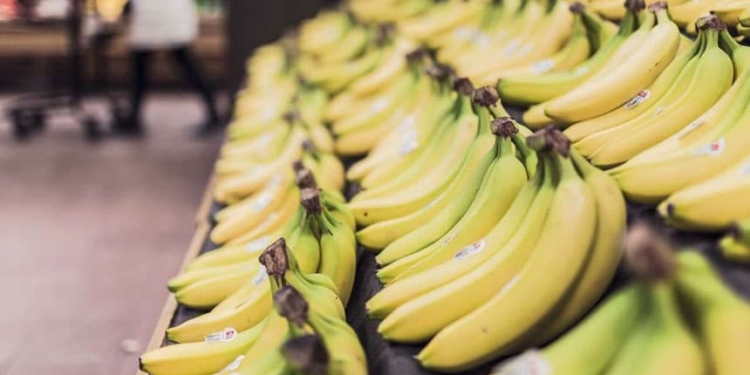 BANAAN BACOVENBEDRIJF FAI