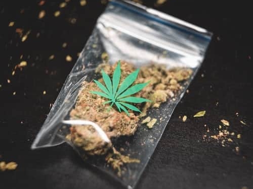drugs marihuana yami
