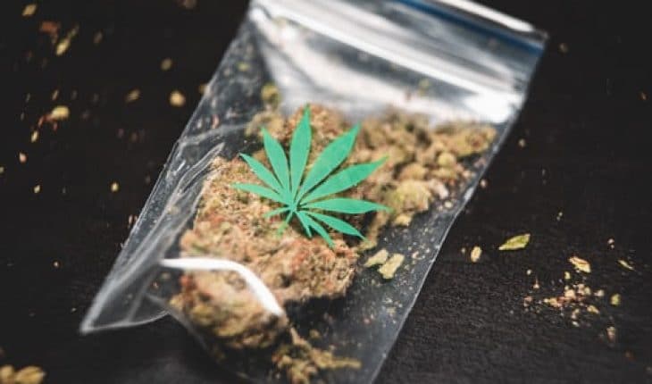 drugs marihuana yami | GFC
