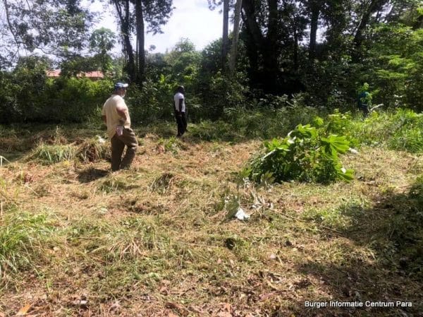 Grote schoonmaak Gonggrijpbos
