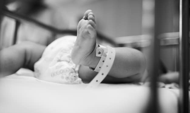 newborn baby 53876 14342