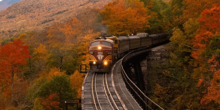 TREIN