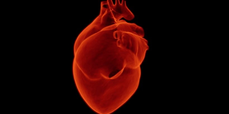 hart 1