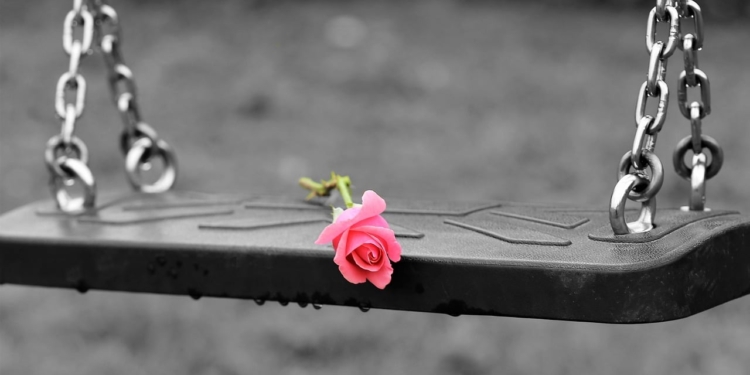 pink rose on empty swing 3656894 1280