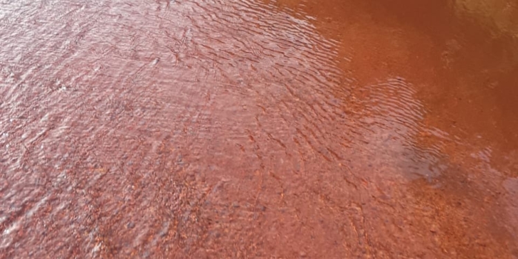 wateroverlast apoera