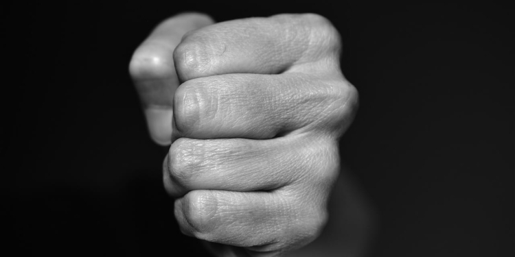 fist 4117726 1280