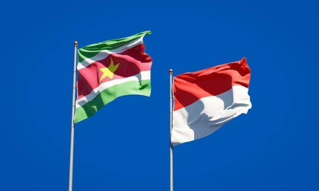 mooie nationale vlaggen van suriname en indonesie samen op blauwe hemel 337817 3159