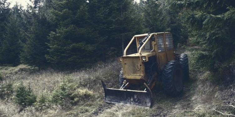 ontbossing graafmachine