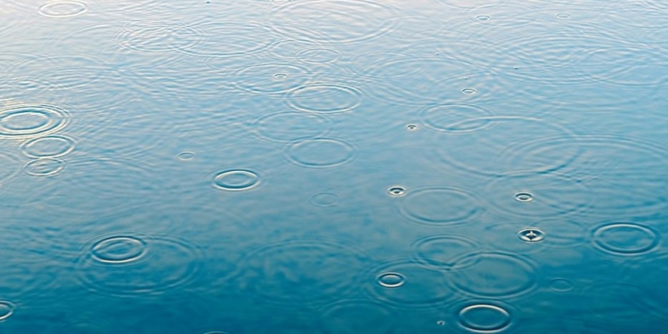 regen1