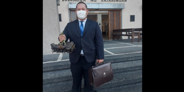 Alimango Lawyer