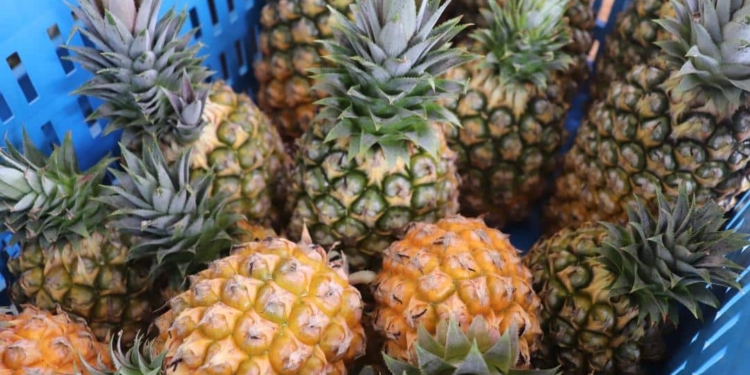 ananas