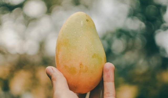ardi evans 5zQE3sBrfLE unsplash