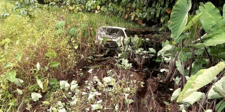 auto in trens