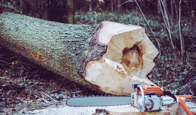 markus spiske qcCHZLdsS80 unsplash
