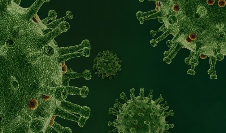 virus 4930256 960 720 CORONA COVID 19 | GFC