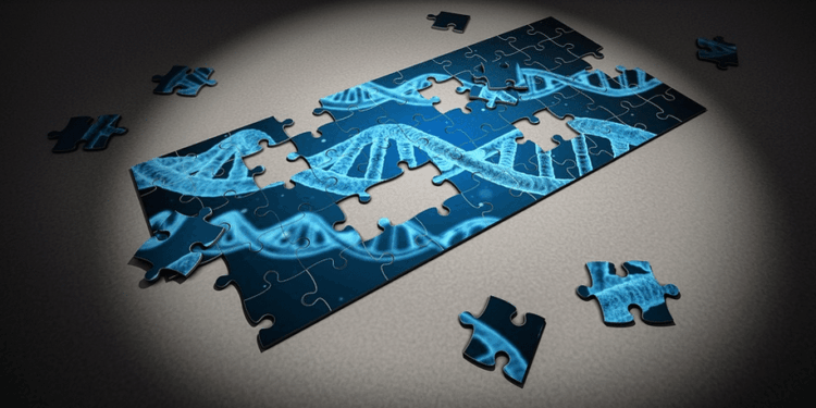 DNA menselijke dna