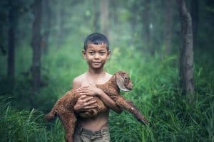 bos natuur milieu klimaat dierenbescherming | GFC
