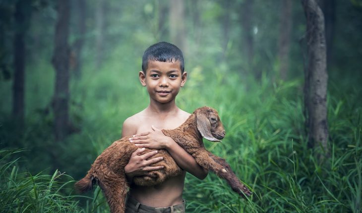 bos natuur milieu klimaat dierenbescherming | GFC