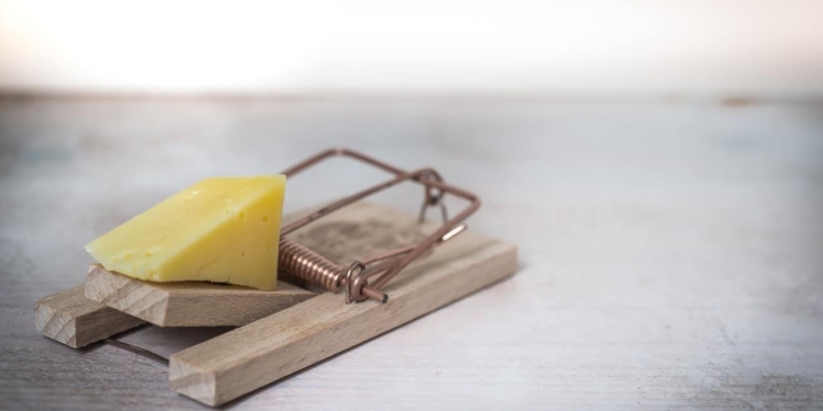 mouse trap 2846147 1280
