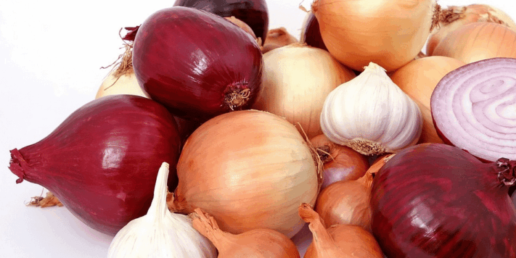 uien knoflook