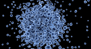 Virus