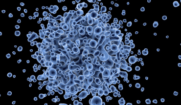 virus2 | GFC Nieuws