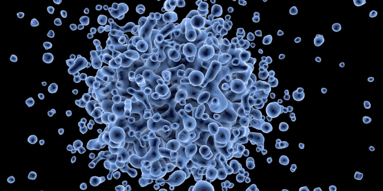 virus2