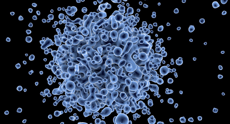 virus2