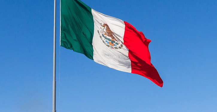 VLAG1