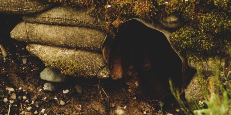 culvert 5115005 1280