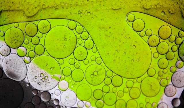 garvit jagga VQL UGh6cmQ unsplash