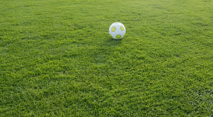 grasveld