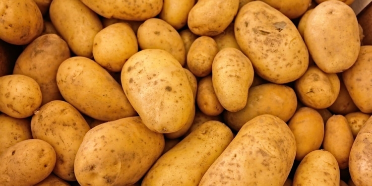 aardappel