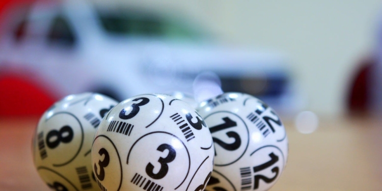 bingo loterij