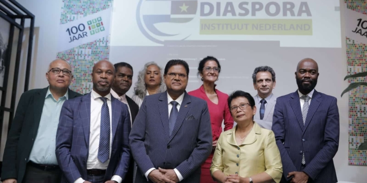 diaspora instituut nederland