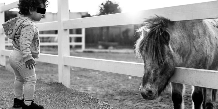 meisje paard pony kind