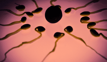 sperma2 | GFC Nieuws
