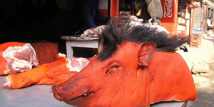 varkenshoofd
