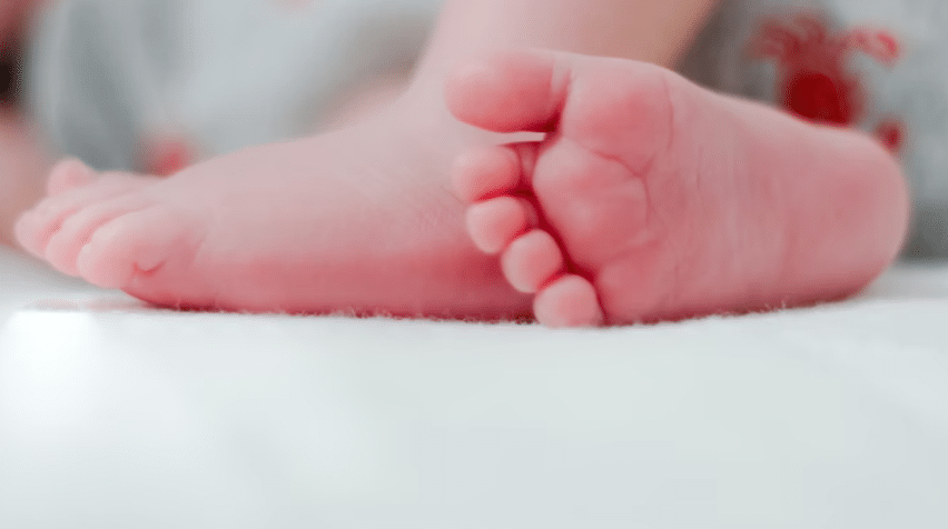 Slapende pasgeboren baby aangevallen door pitbull overleeft het niet