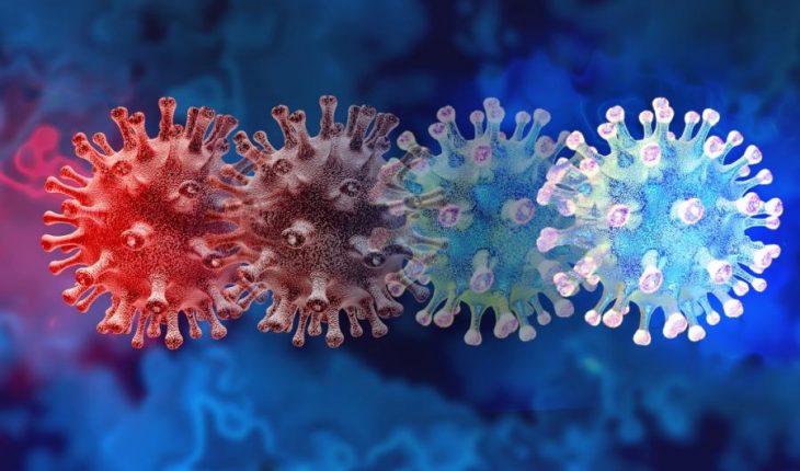 corona covid virus | GFC